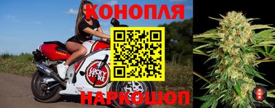эйфоретик Будённовск