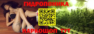 эйфоретик Будённовск