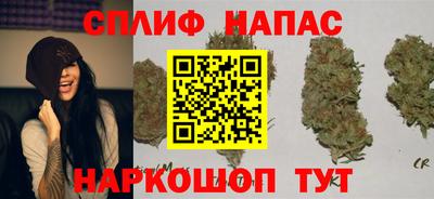 эйфоретик Будённовск