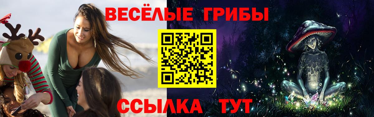 Саров  Псилоцибиновые грибы Psilocybine cubensis  Псилоцибиновые грибы Psilocybe  Вход с VPN 